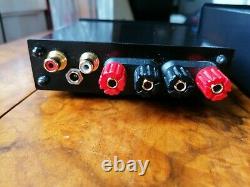 Temple Audio Bantam Gold Amp & Supercharger Class D Amp + Power Supply Excellent