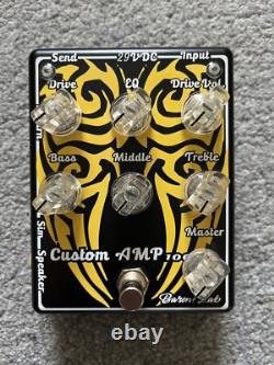 AMPLIFICATEUR Baroni Lab Custom 100 EN EXCELLENT ÉTAT & Alimentation d'origine
